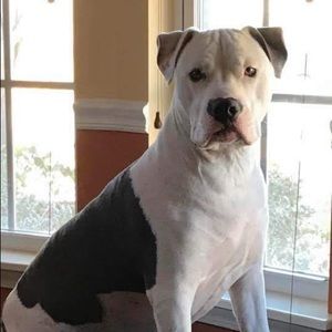 Meet your Posher, Chloe